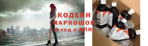дурь Вяземский