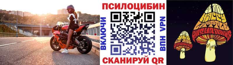 Псилоцибиновые грибы прущие грибы  Казань 
